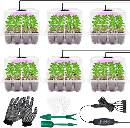 Cultivatore a celle 6 con regolazione di luminosità e timer controller