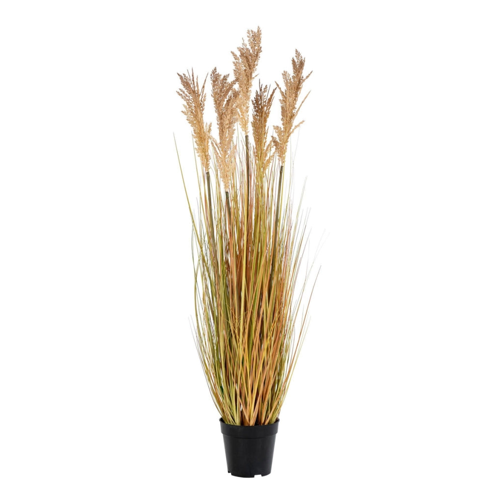 Pianta Artificiale Sorgo, Marrone, Polietilene, 35x30x110 cm