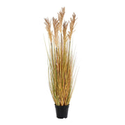 Pianta Artificiale Sorgo, Marrone, Polietilene, 35x30x110 cm
