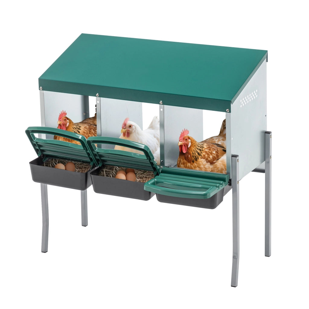 Nido per galline a 3 scomparti con copertura verde