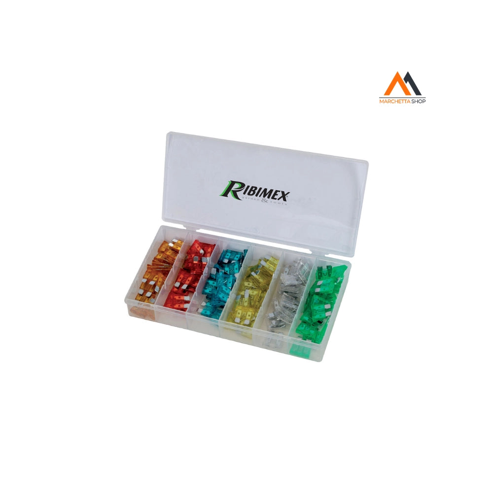 ASSORTIMENTO FUSIBILI 120 pezzi