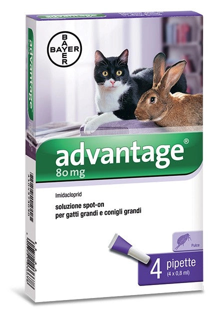 ADVANTAGE SPOT ON 80 GATTI OLTRE 4 KG