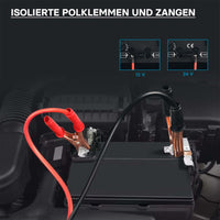 Caricabatterie 12V e 24V Boost 430 Caricatore per batterie piombo acido AGM