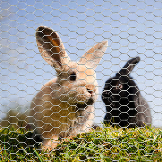 Rete metallica per recinzione, voliere, gabbie, rete zincata 1 x 25 m, maglia esagonale da 50 mm, in acciaio zincato, resistente alle intemperie