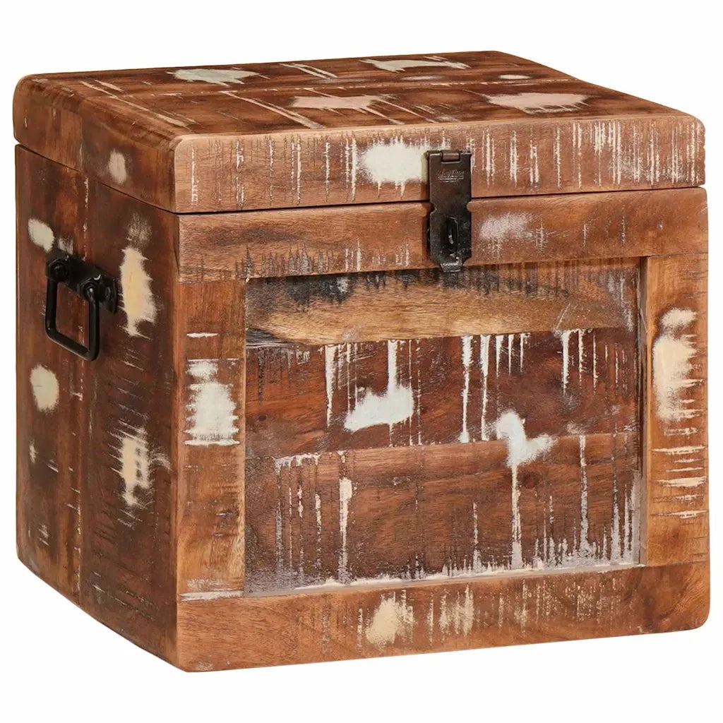 Scatola di Stoccaggio con porta Marrone Legno di mango massello 4104570