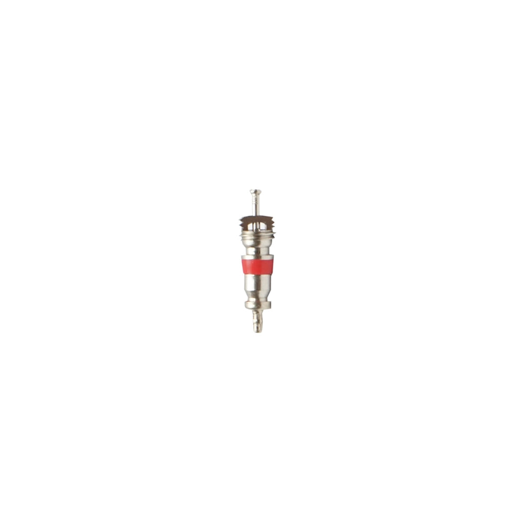 Valvola per ruota 0–200 PSI modello R5405S