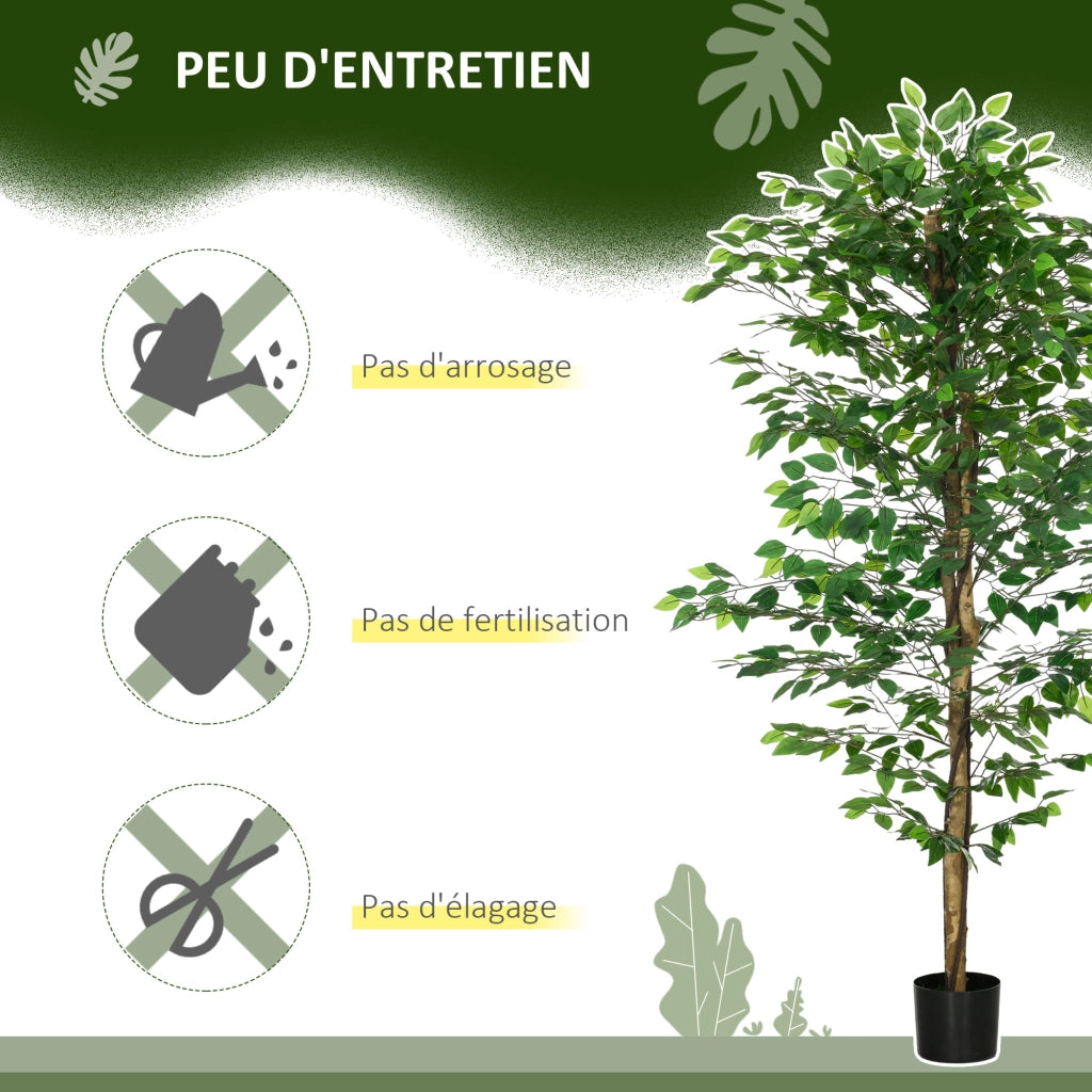 Piante Finti Ficus ¨C zephmum ¨C Verde 180 cm con Vaso