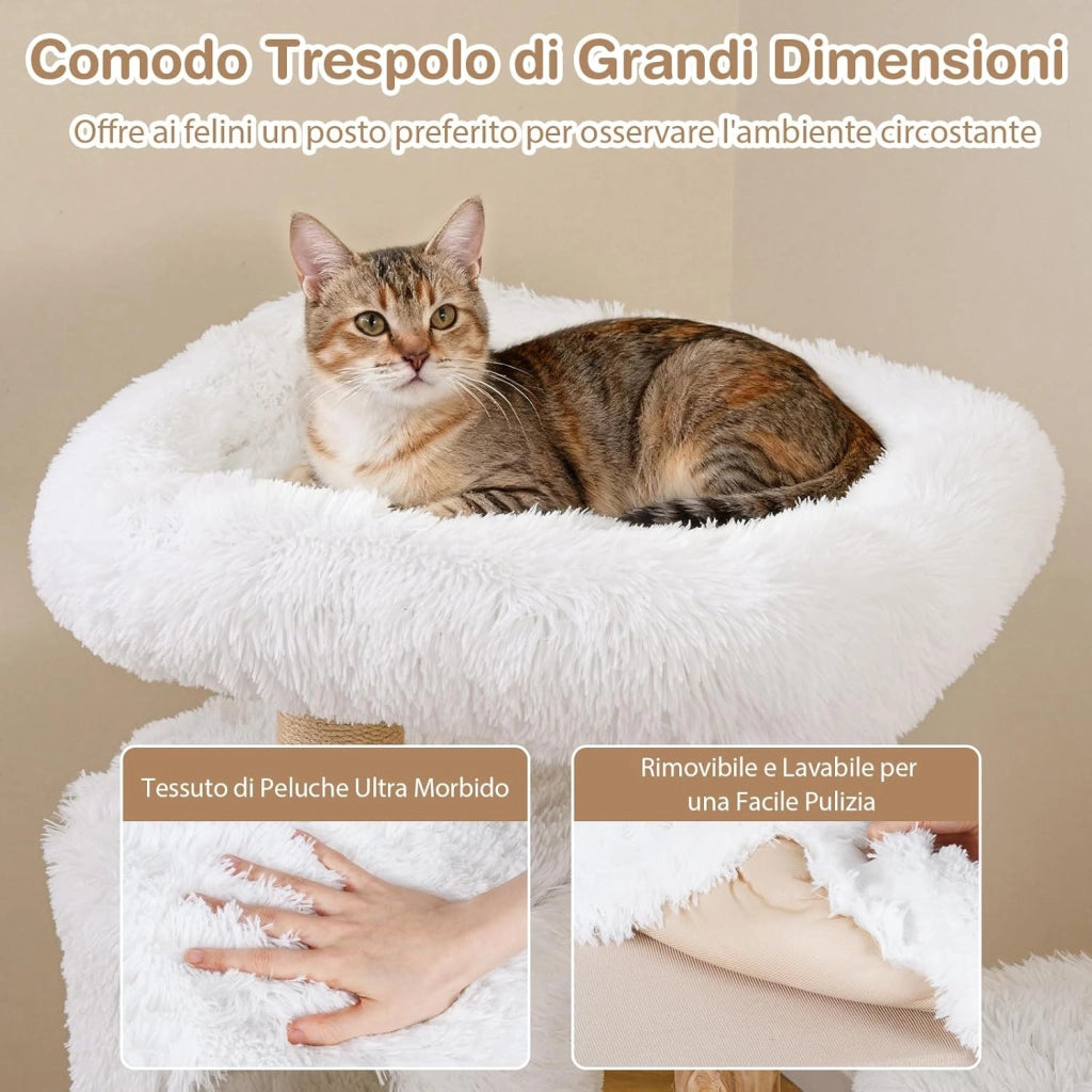 Albero per Gatti Moderno da Interno, Tiragraffi per Gatti con Rametti in Legno, Tiragraffi, Condo a 2 Piani, Posatoio Morbido in Cima e Piattaforme Imbottite, Centro Attività per Gattini