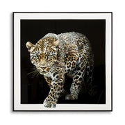 Stampa su Tela Leopardo 1, Multicolore, Tessuto, 82x82x4 cm