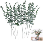 Pannocchie di Eucalipto - Piantine Artificiali di Eucalipto - Decorazione - 20 Pezzi - Foglie di Eucalipto - Decorazione per Matrimoni