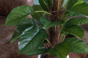 Pianta Artificiale Pothos in Vaso con 30 Foglie H 85 cm