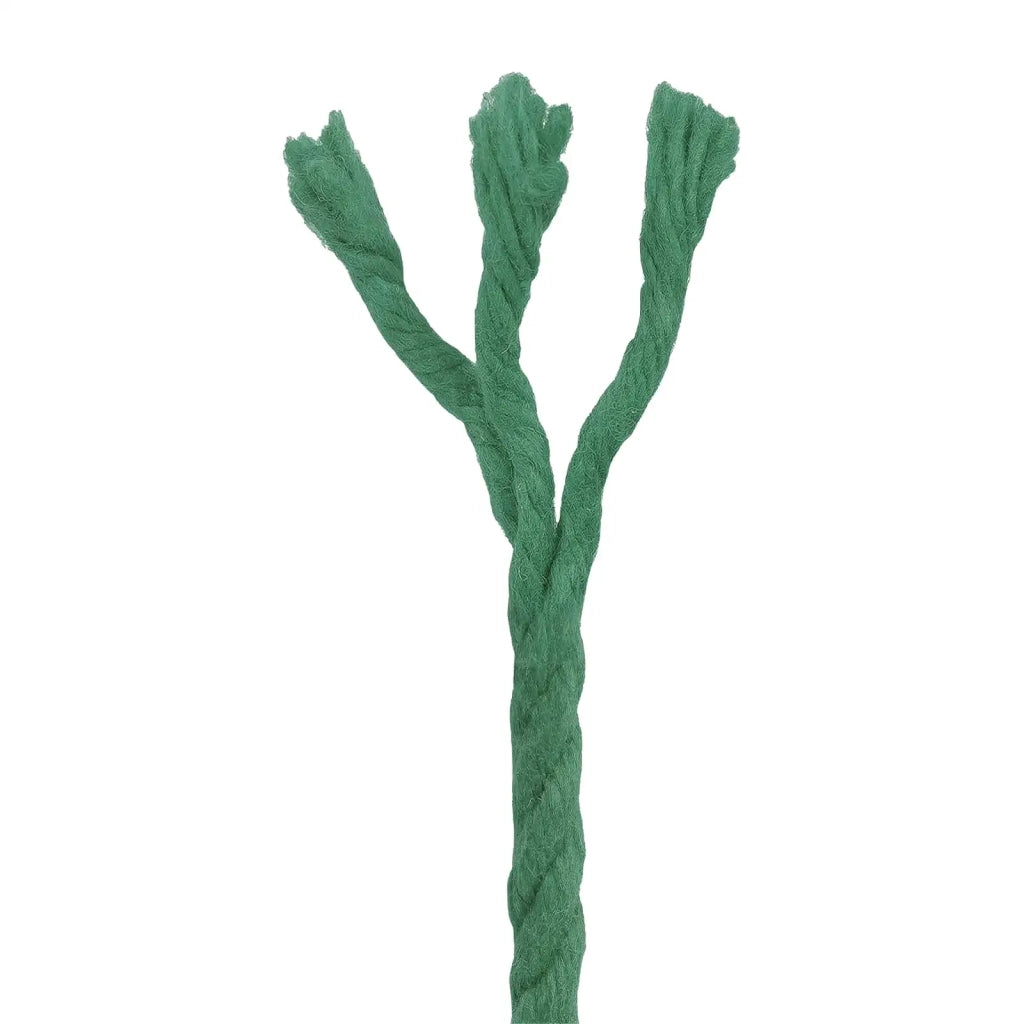 Spago di Cotone 10 pz 2 mm 100 m Verde 100% Cotone 42011941