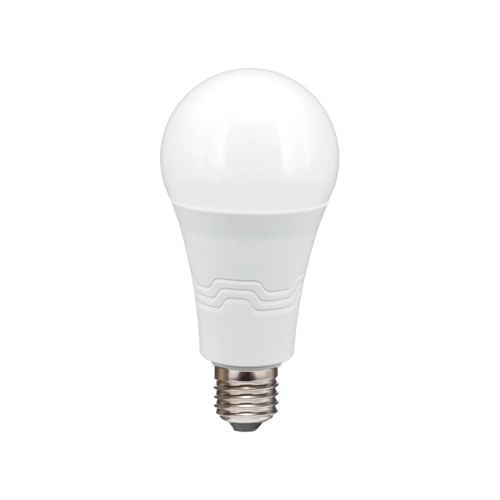 Alca power a65 19w 175-250v 2200lm 4000k e27 lampada classica a led