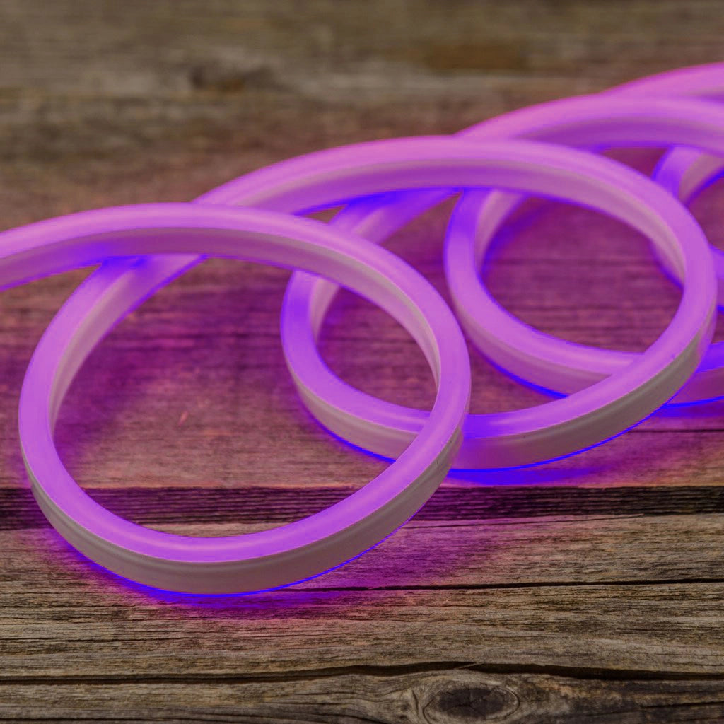 Striscia Led con Effetto Neon IP65 Esterno 12V Flessibile Tagliabile Luce Viola