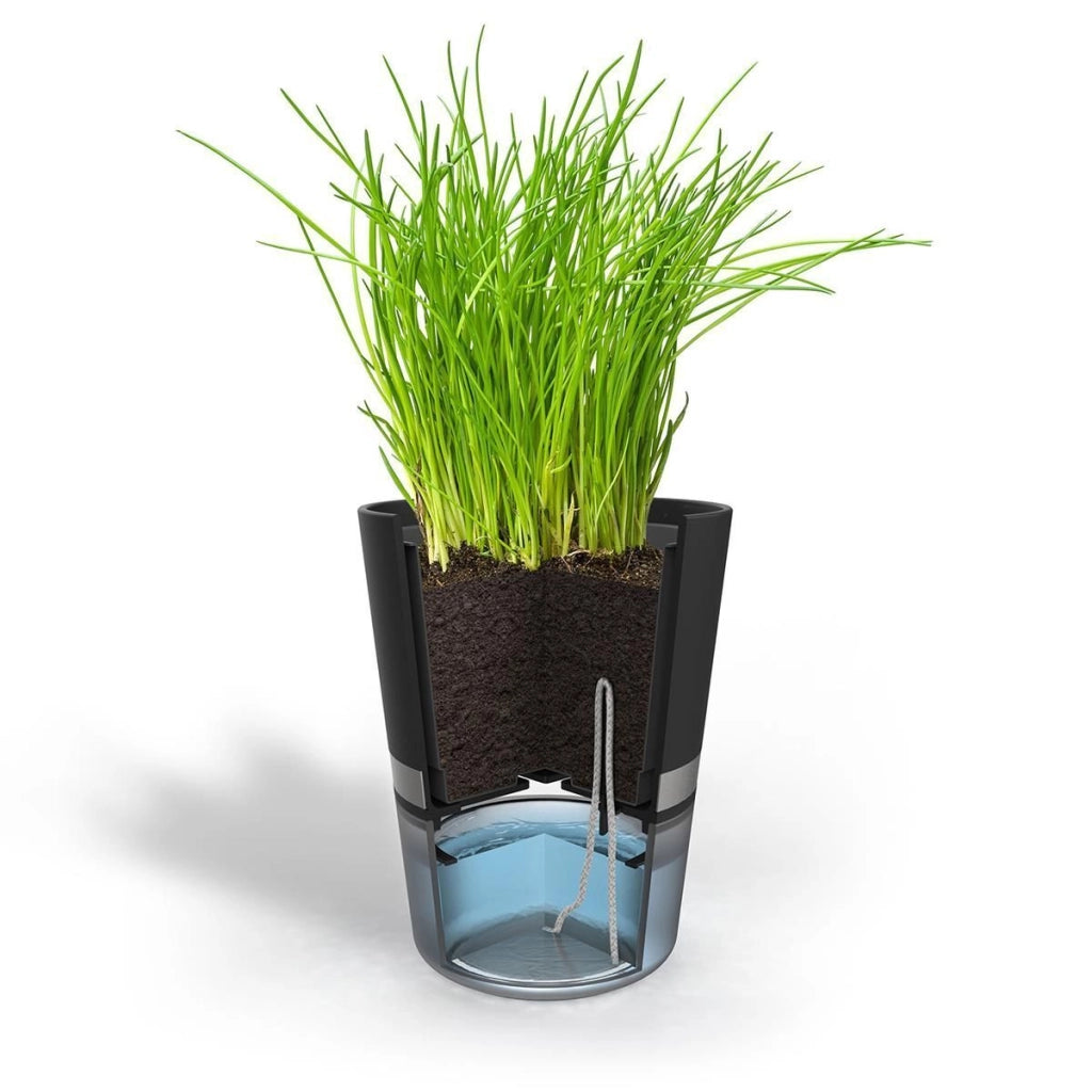 GEFU BOTANICO Vaso per erbe aromatiche Libera installazione Plastica, Acciaio inossidabile Nero