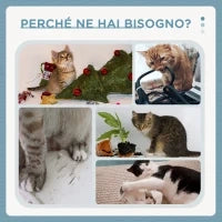 Albero Tiragraffi per Gatti a Soffitto con Piattaforme e Casetta, 60x40x225-255cm, Grigio