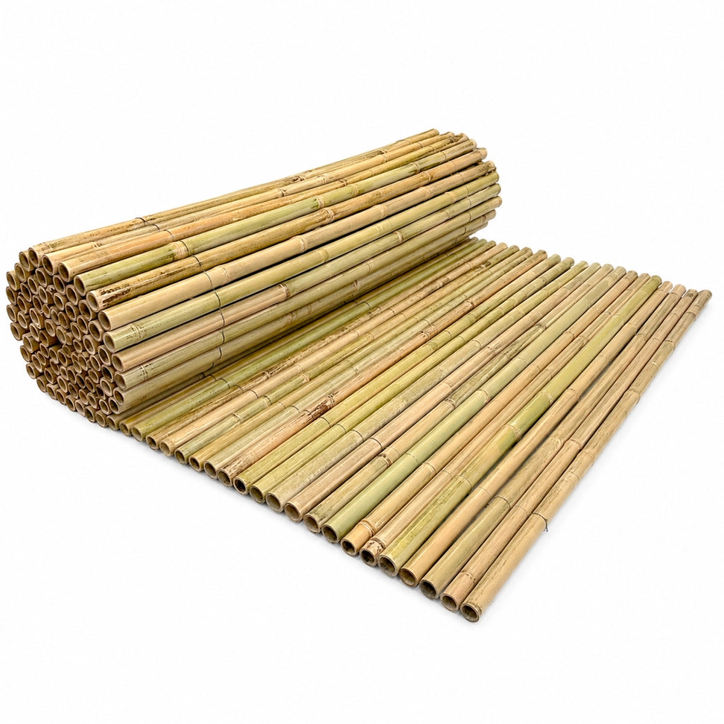 Schermatura In Bamboo Steccato Oscurante E Difesa Sguardi Solida Per Giardini Terrazze Porticati Bar Stabilimenti Estivi Pratica Da Installare Eterna E Design Naturale 1.5 x 3 Metri