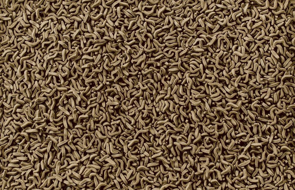 Tetra Reptomin Sticks - Alimento Base in Stick per Tartarughe Acquatiche Formato: 1000 ml