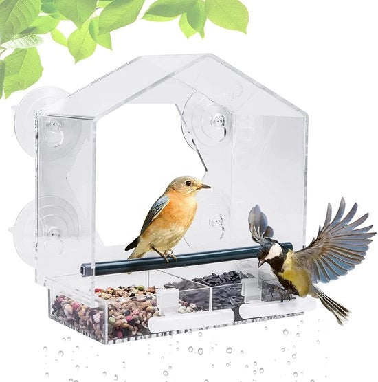 Casa Alimentatore per Uccelli, Casa Alimentatore Transparente Grande con 4 Fori di Mordace Potenti e 2 Altezze di Posizionamento per Uccelli Extra, Scala Rimovibile e Fessure di Scarico, per Uccelli, 21 x 20 x 10 cm