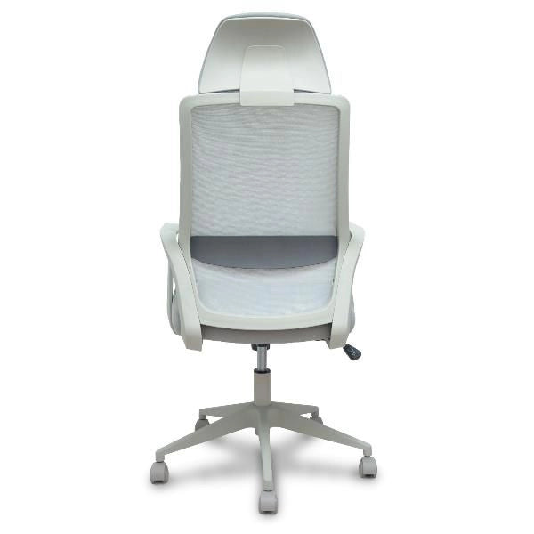 Pro534 rete ne/tes ne/br fis/pt reg - 534BGY00053PGRN