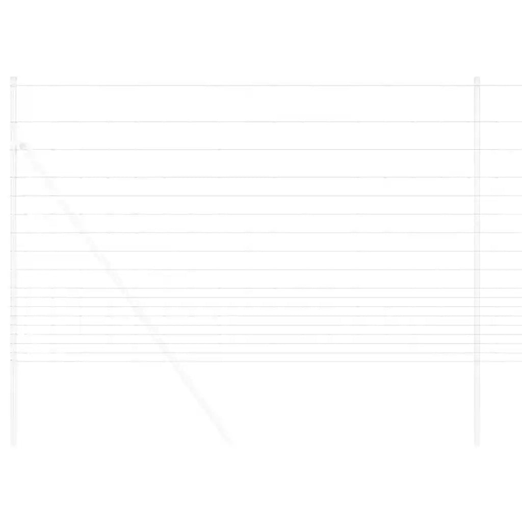 Recinto Selvaggio Zincato a Caldo 1000 x 150 x 0,18 cm Ferro 42005793
