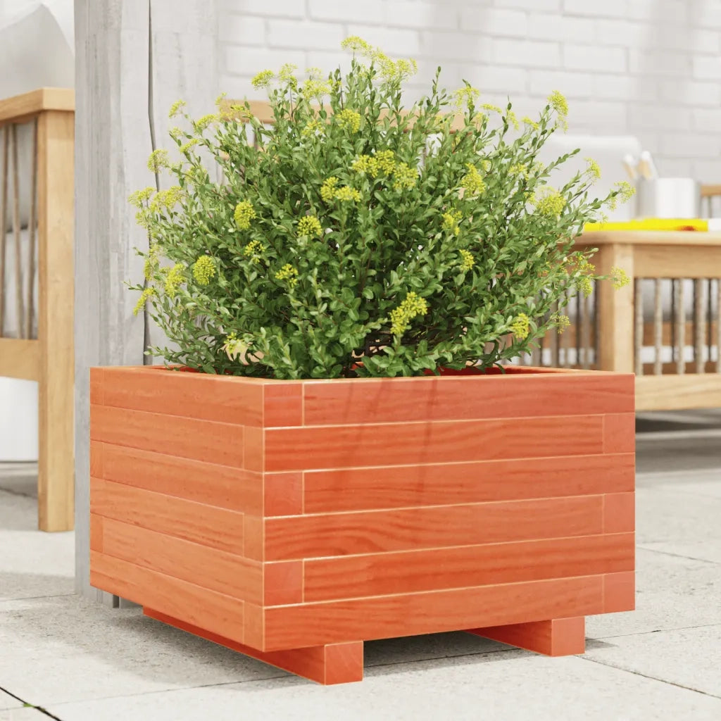 Fioriera | Cassetta per fiori | Vaso Giardino Marrone Cera 40x40x26,5cm Legno Massello Pino