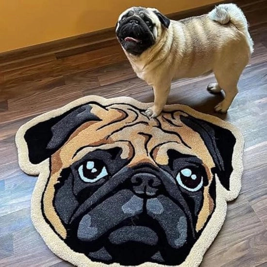 Porta foto per animali domestici - Tela personalizzabile a forma irregolare Adatto per cani e gatti - Regalo ricordo (60 * 60 cm)
