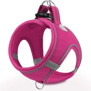 Harnas Riflettente per Piccoli e Medi Cani - Easy Walk Carrozzina con Funzione di Sicurezza - Felroze
