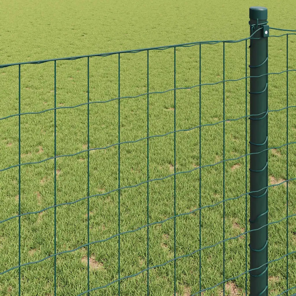 Recinzione Euro Verde 1,6 x 10 m Ferro rivestito in PVC 42004345