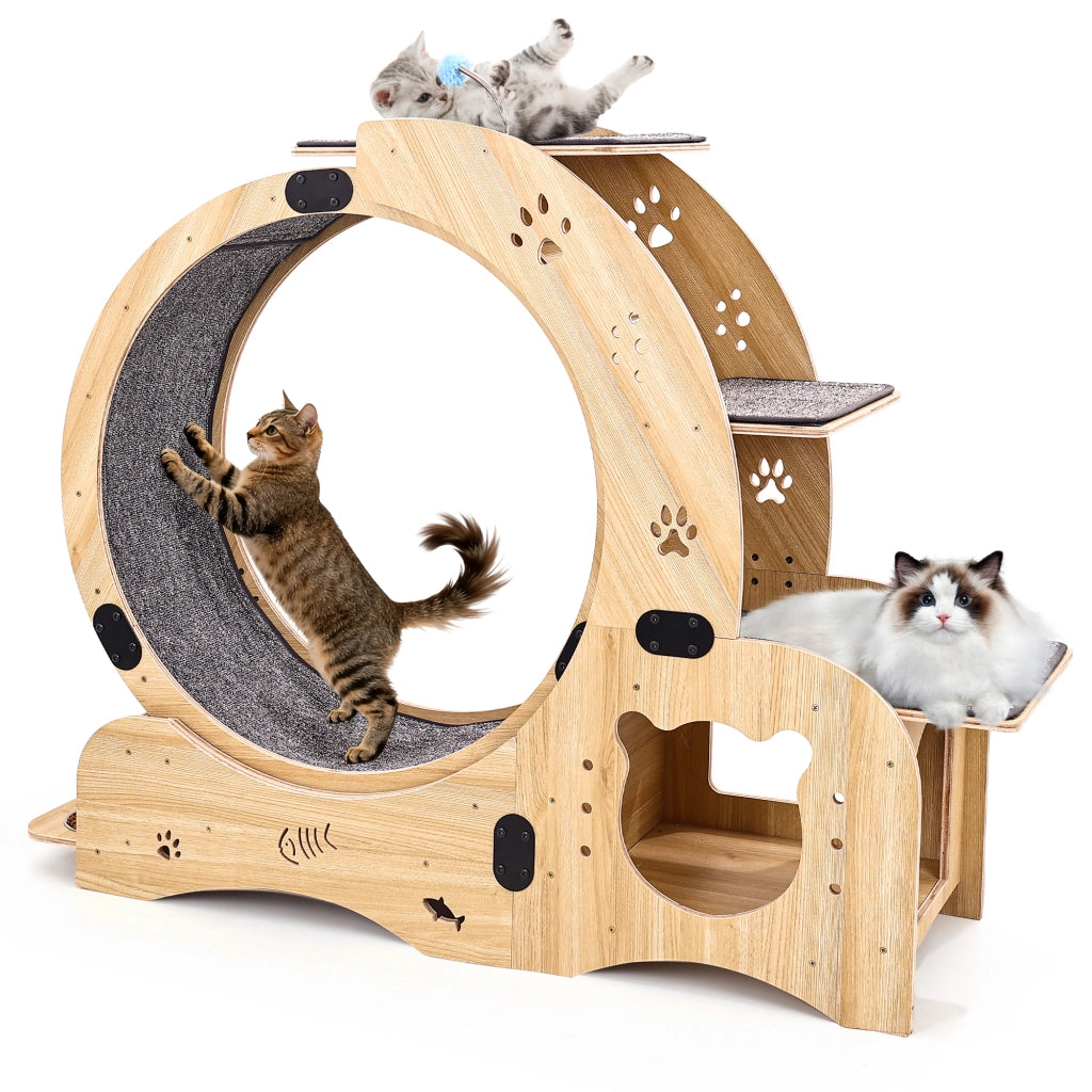 RUOTA PER GATTI 6-in-1 in legno naturale, grande, per interni