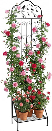 Traliccio per Rampicanti Metallo con Ripiano Pieghevole, Graticcio per Piante da Esterno, Griglia per Piante Rampicanti per Giardino, Cortile e Patio, 50 x 30 x 189,5 cm (Nero,1)
