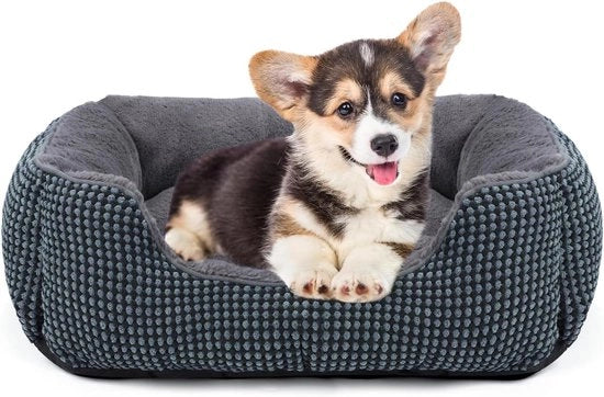 Letto per Cani Leggero da Pulire - Antiscivolo e Comodo con Bordo Elevato