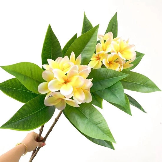 Fiori artificiali 90 cm - Frangipani - Real touch - Plumeria in PU - Decorazione per matrimonio/festa - Fiori finti per interni/esterni