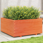 Fioriera Giardino-Vaso da Esterno-Contenitore per Piante Marrone Cera 100x100x49,5 Legno Massello Pino