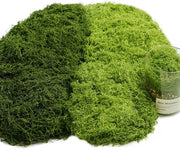 Kunstmos decorativo per hobby, decorazione estetica 100g, decorazione finta per Pasqua, Natale e acquario, modello per modellismo (50g verde scuro + 50g verde chiaro)
