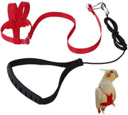Accessorio per uccelli con manubrio regolabile - manico antiscivolo - corda elastica - resistente ai morsi - leggero nylon - gabbia per uccelli