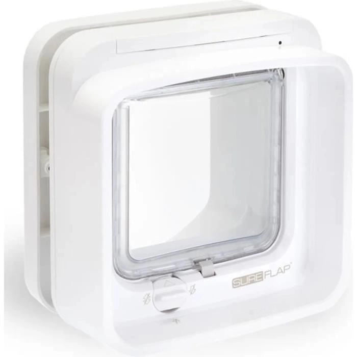 lembo Microchip cat