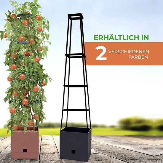 Tutore per piante di pomodoro con aiuto di rampicamento e serbatoio d'acqua da 2 litri, capacità 16 litri, altezza 150 cm