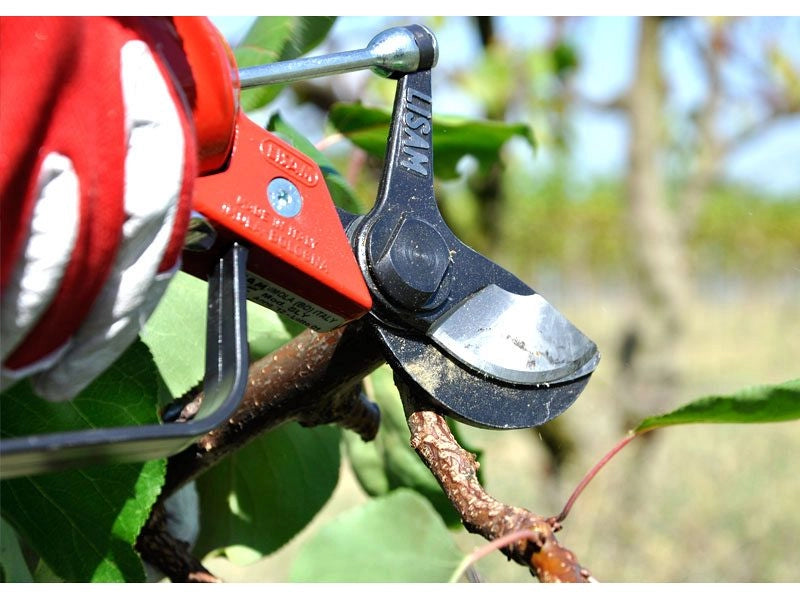 Forbice da potatura pneumatica Lisam Sly per frutteto e oliveto con olio Slip - Forbice + Innesto rapido 1/4