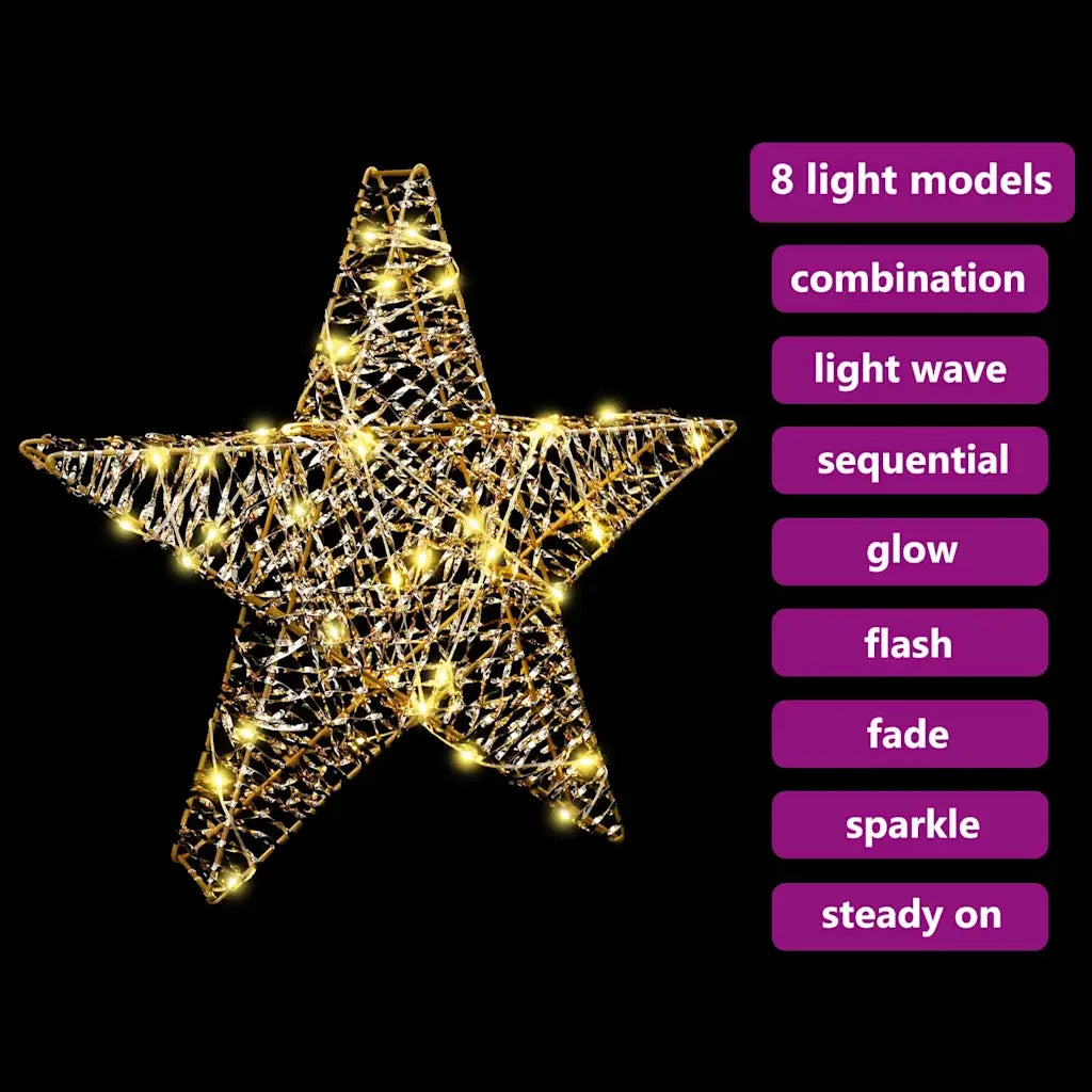 Stella 3D con 50 LED Bianco caldo 55 x 52.5 x 9 cm PET
