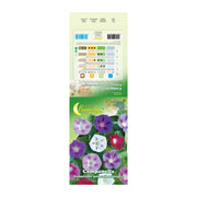 SEMI GARDEN CAMPANELLA- 10,0 pz