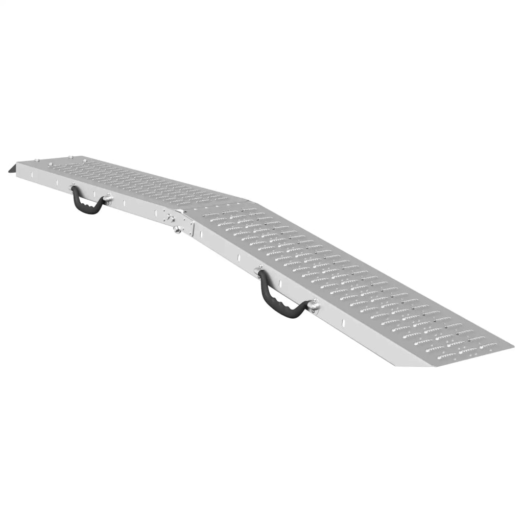 Rampe Pieghevoli 200kg per rampa 2 pz Argento Acciaio zincato CFW8881449