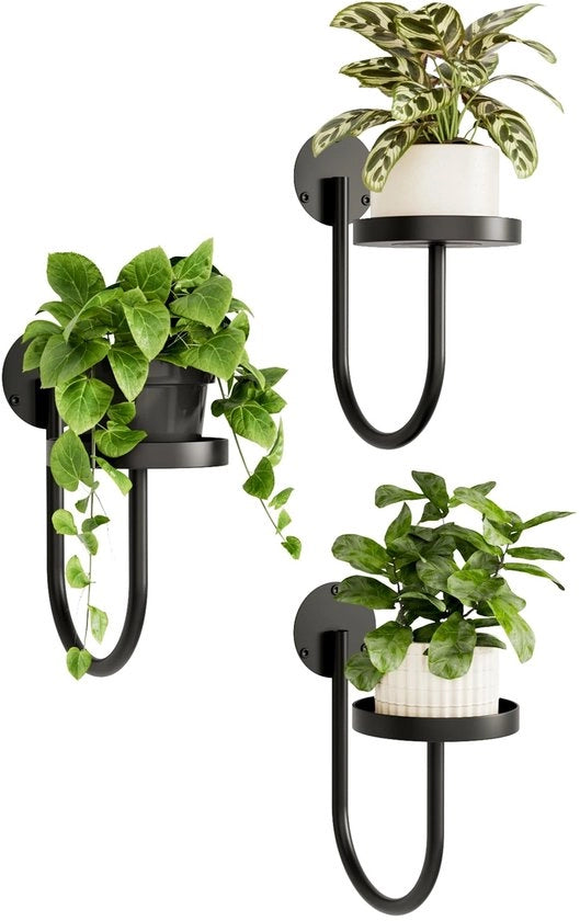 Set di tre vasi per piante adesivi - Raccogli piante spaziale - Vaso per piante appeso - Decorazione per interni - Stile moderno - Vasi per piante adesivi - Set di tre pezzi - Design elegante - Vasi per piante adesivi per parete