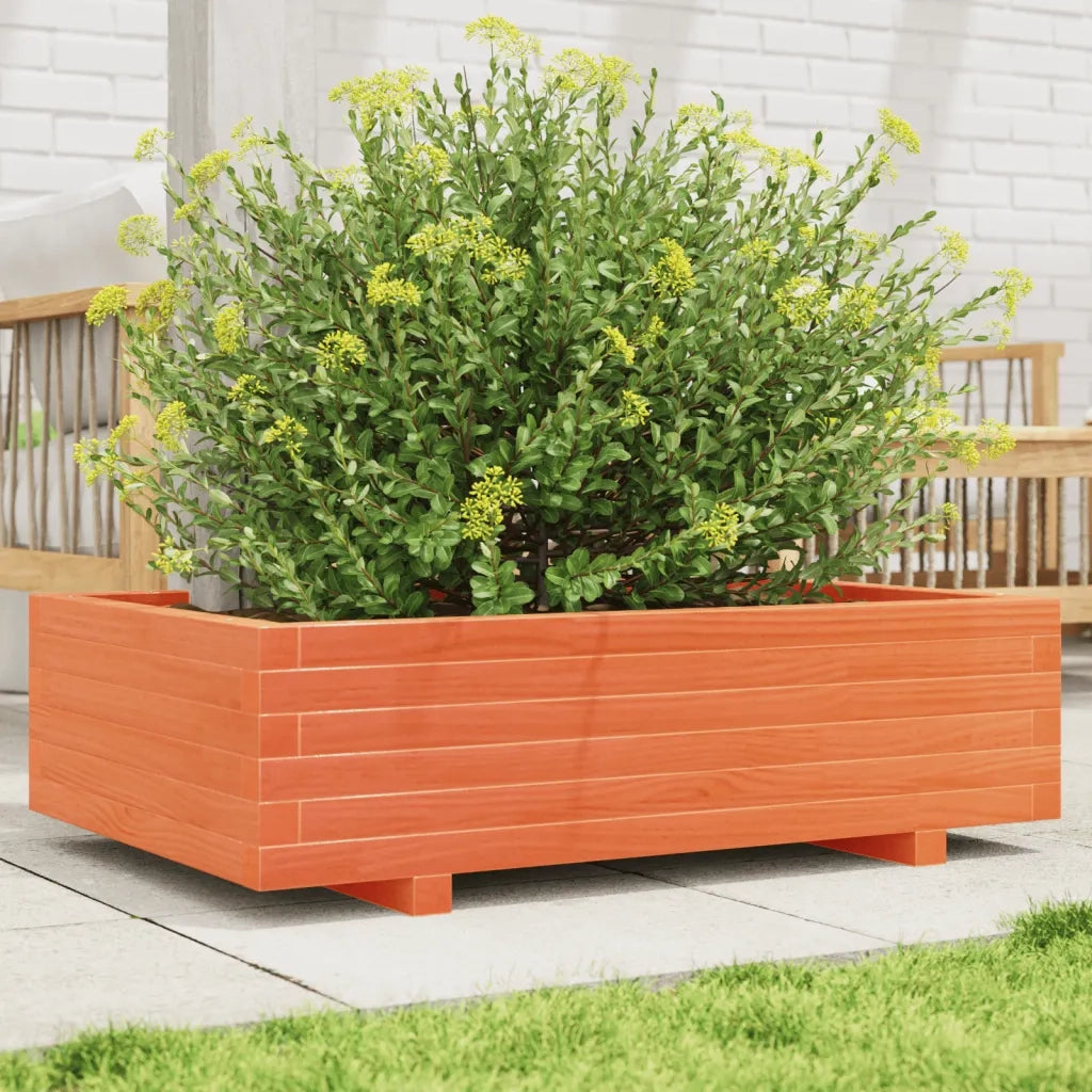 Fioriera | Cassetta per fiori | Vaso Giardino Marrone Cera 90x60x26,5cm Legno Massello Pino