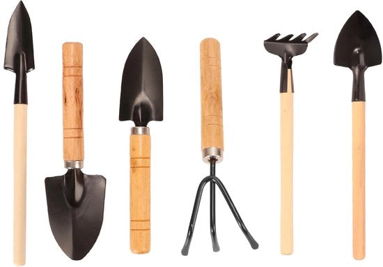 Set di attrezzi da giardino 6 pezzi - Set di giardinaggio per mini giardino con manico di legno, vanga, zappa per piante grasso, piante da appartamento, cura fiori in vaso - Accessori da giardino per appassionati di piante in casa e in ufficio