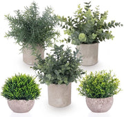 Collezione di 5 piante artificiali, piccole piante artificiali con eucalipto, rosmarino e gipsocruma in piccoli vasi, decorazione da tavolo, decorazione per casa, balcone e ufficio.