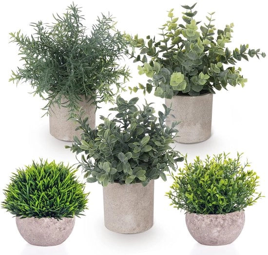 Collezione di 5 piante artificiali, piccole piante artificiali con eucalipto, rosmarino e gipsocruma in piccoli vasi, decorazione da tavolo, decorazione per casa, balcone e ufficio.