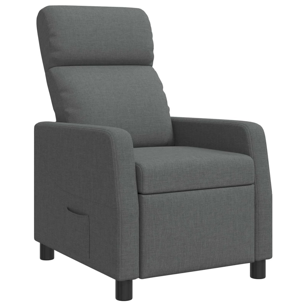 Divano Sedia-Poltrona reclinabile Grigio Scuro Tessuto 492373
