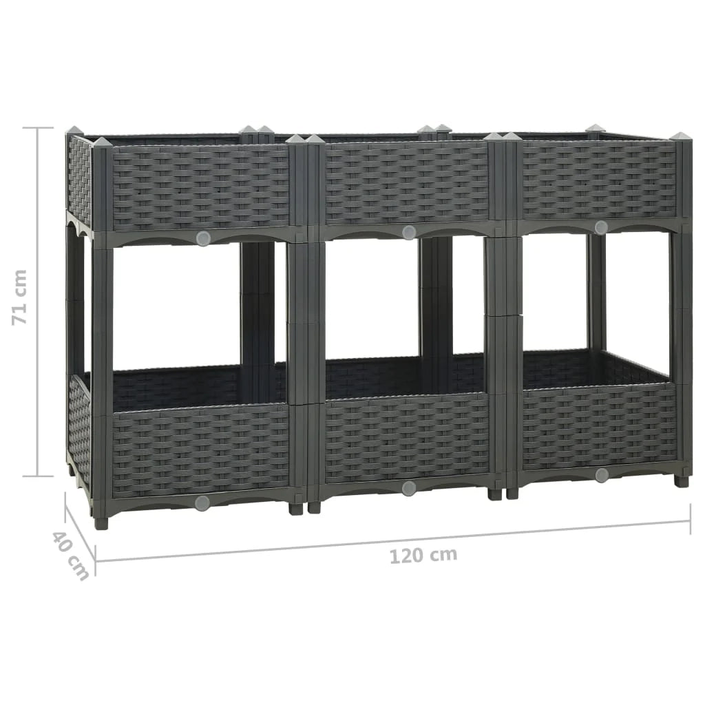 Fioriera rialzata per piante e fiori giardino 120 x 40 x 71 cm polipropilene grigio scuro 02_0000908