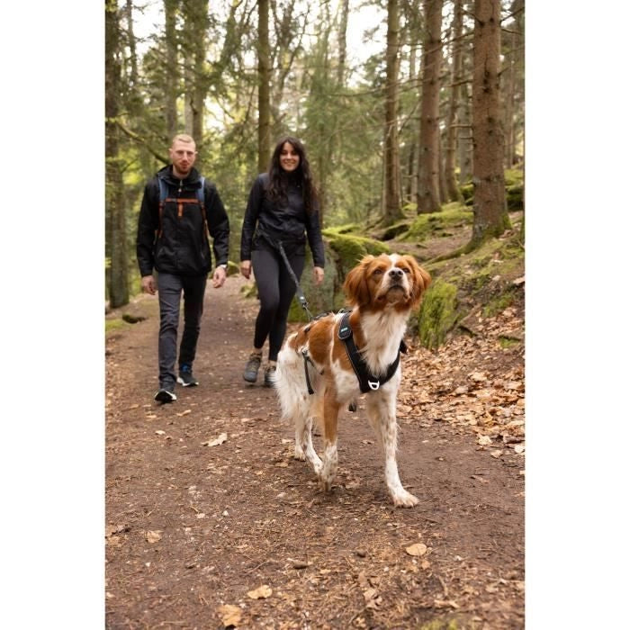 Pettorina per cani - SYMBIOZ - XS - Nera / Blu
